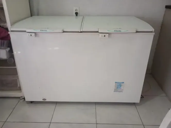 Vende-se Freezer Electrolux 