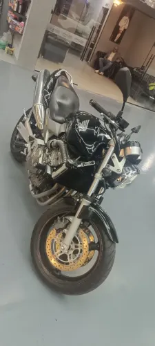 Hornet 2005