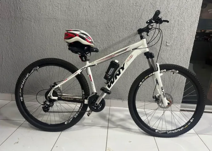 Bike aro 29