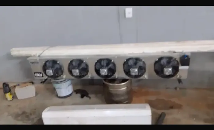 Câmara Fria, refrigeração 
