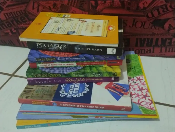 Lote desapego livros