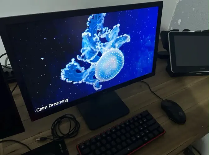 Monitor
