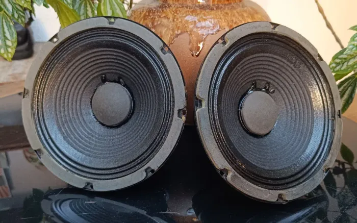 Par de Mid Bass (Eminence) Electro Voice 8" e 8 ohms
