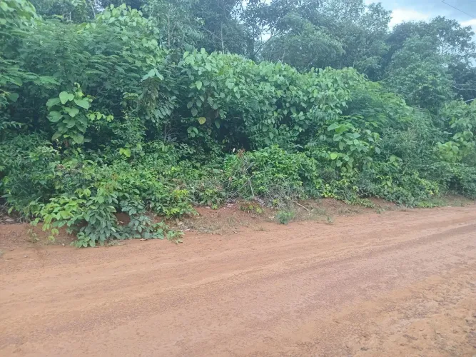 Tudo legalizado