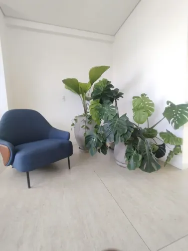 WN GARDEN transformando espaço faça seu orçamento número pra contato *87