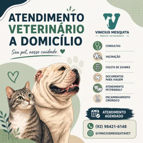 Médico veterinário
