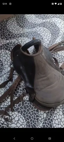 Sela de cavalo 