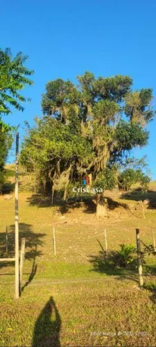 Sítio com 4 dormitórios à venda, 480000 m² por R$ 800.000,00 - Núcleo Urbano de Rocha Leao