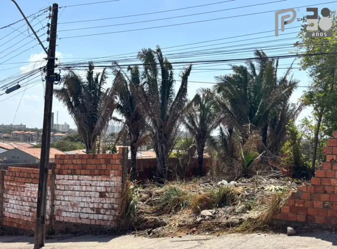 Terreno locação Olho D'Agua