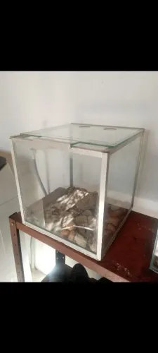 Aquário