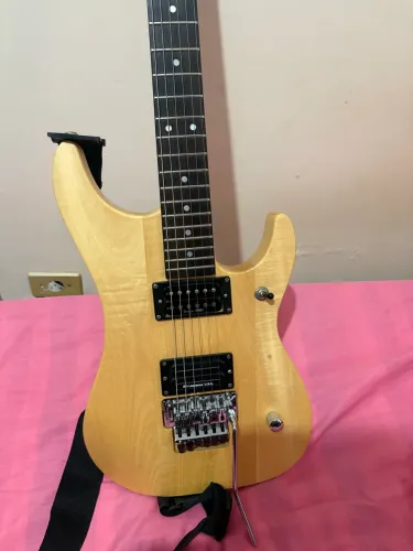 Washburn n2