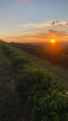 Imóvel para venda tem 242000 metros quadrados em Mirante do Paraíso - Pouso Alegre - MG