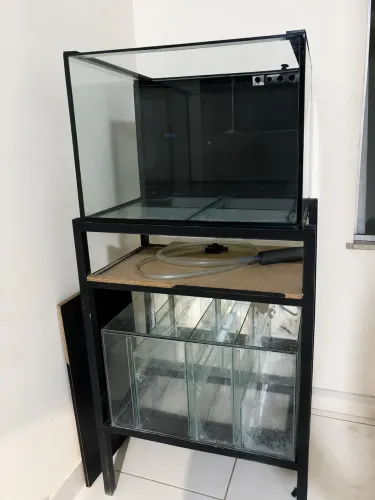 Aquário 150L Completo 60x50x50 + Sump + Móvel + Bomba 3000L/h