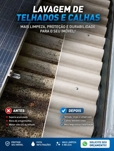 *lavagem de telhados 