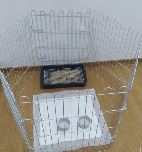 Cercadinhos Pet (grades para cães)