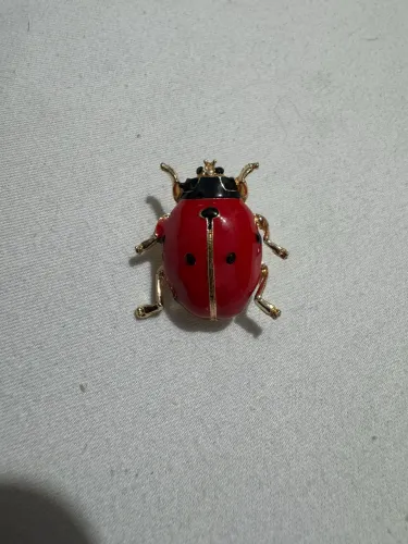 Broche joaninha vermelha da sorte 