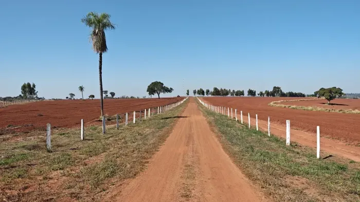 VENDO FAZENDA 520 Ha (173,727Alq) - Paranaiba a Cassilandia-MS - R$ 21 Milhoes