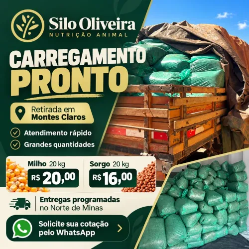 SILAGEM PRONTA PARA RETIRADA EM MONTES CLAROS