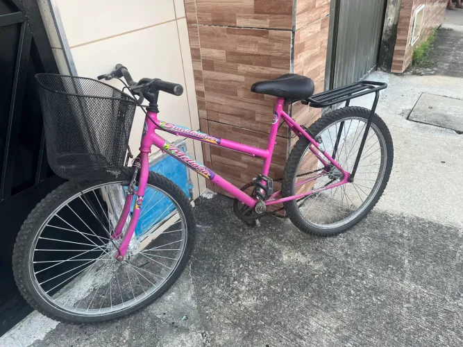 Bicicleta