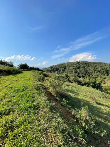 ALUGUEL DE ÁREA RURAL DE 25 HECTARES EM RESENDE