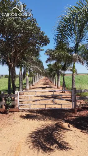 Sítio em Jaguapitã