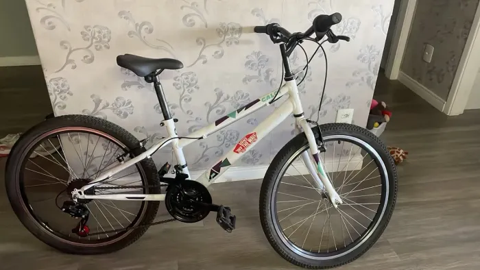 Bicicleta caloi Aro 24