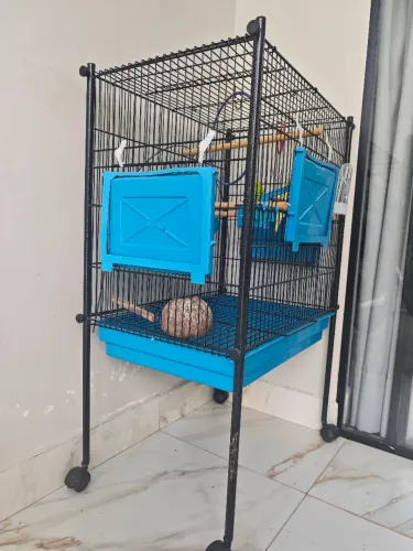 Gaiola grande para criação de pássaros
