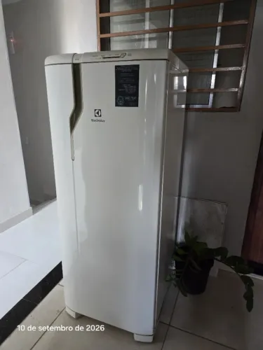 Geladeira Electrolux RE31 em Laranjeiras