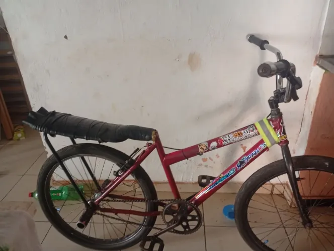 Bike aro 24