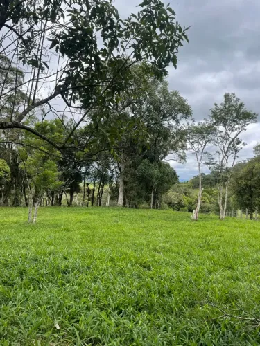 Fazenda/Sítio/Chácara para venda com 12 metros quadrados