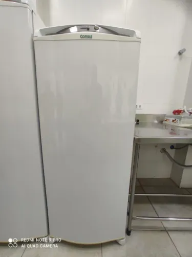 FREEZER CONSUL SUPER NOVO 260 LITROS