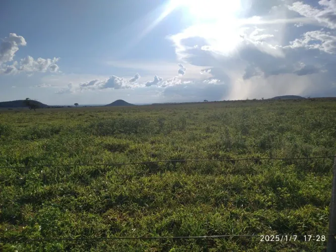 EXCELENTE FAZENDA A VENDA EM CAMAPUÃ - MS ÁREA TOTAL 334 HECTARES OU 138 ALQUEIRES PAULIST
