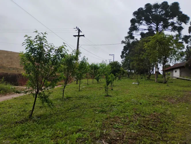 Chácara em contenda .próximo Araucaria