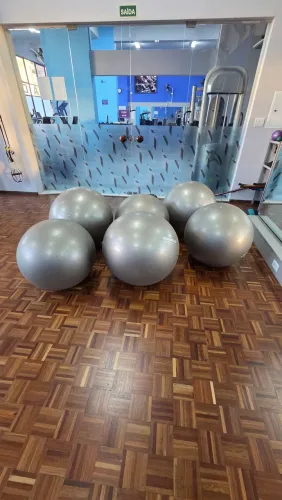 Bola Suíça Profissional Cinza para Pilates e Yoga GYM Ball 75 cm