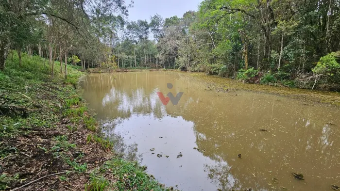 Chácara à venda,10.890 m , com tanque de peixes, CAMPESTRE DA FAXINA, SAO JOSE DOS PINHAIS