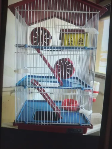 Casinha de ramister