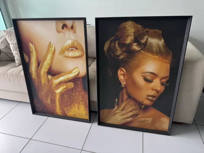 Vendo 2 Quadros