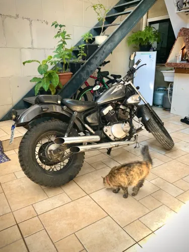 Yamaha virago 250