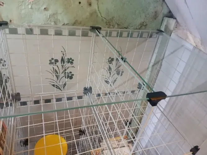 Estante aramado com 9 nichos e tampo de vidro em cima, R$ 250,00
