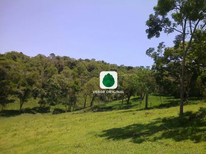 Terreno à venda, 108.900 m² por R$ 800.000 - Consolação/MG