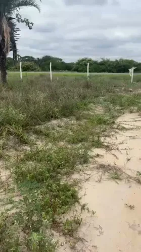 Terreno no Novo Paraíso  409 m2 em Jacobina-BA