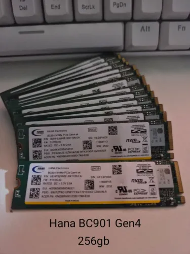 SSD Nvme 256gb Gen4 Hana BC901