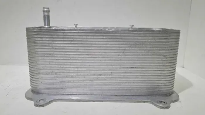 Trocador De Calor Do Oleo Porsche 911/997 2009 997 107 025 7