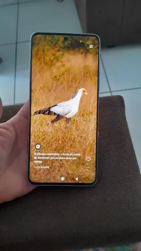 Redmi 13 pro plus