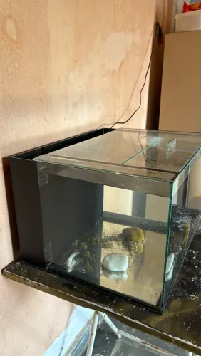 Aquário 60L