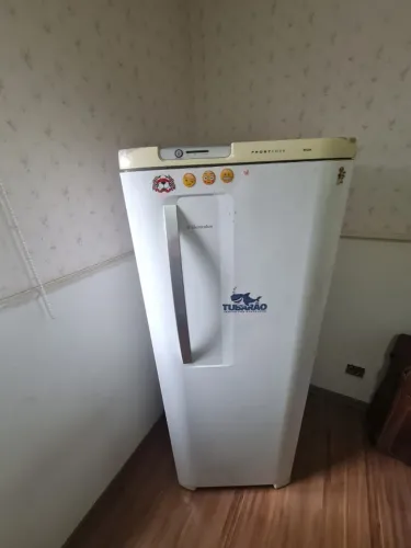Vendo Geladeira Electrolux