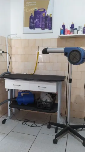 Mesa Banho e tosa 