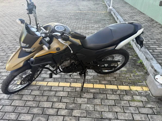 Vendo Lander 2023