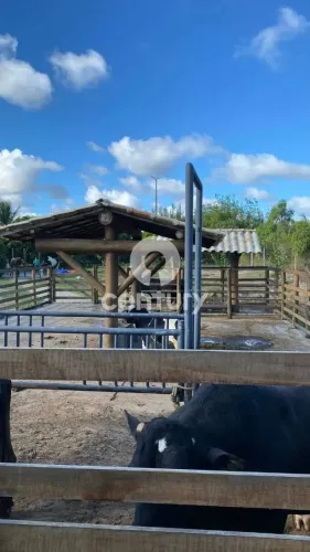 Lote no condominio Fazenda Real 2