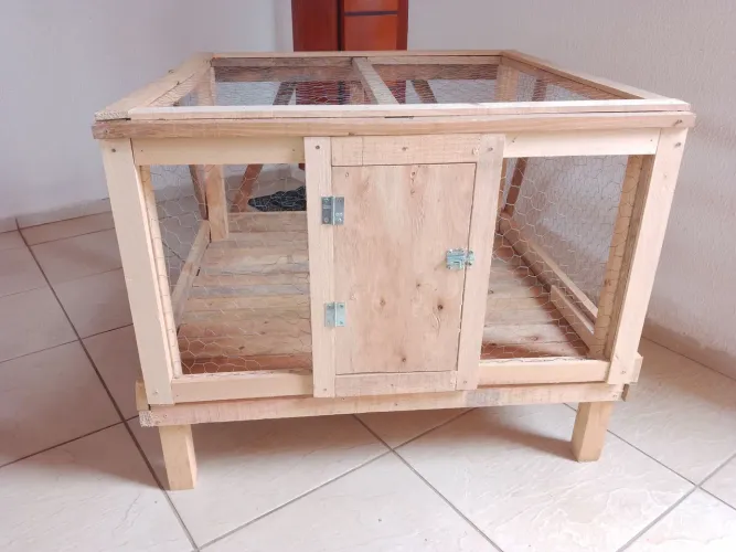 Vende -SE UM VIVEIRO para pintinhos